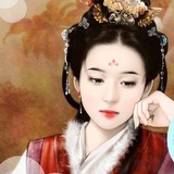 波士顿的猫
