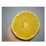 一颗大橙子
