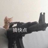 七星区美食家
