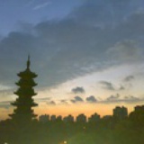 缺觉组组长