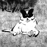 D..z