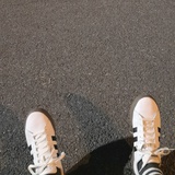 2000爆浆社恐豚