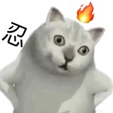 枫儿_