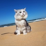 心海