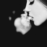 没头脑的鱼