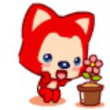 ningning