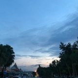 路边野餐的小花
