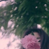 虫妖精