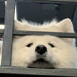 浮生不知