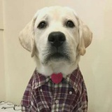 Santi