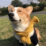 刘美男