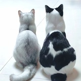 闲人江离