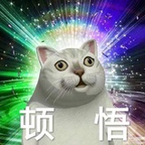 N重身