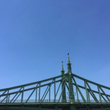 一叶心
