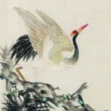 鹤顶红