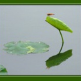 小民工