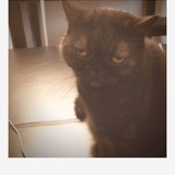 miumiu