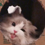 一直一直