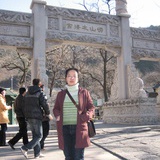 城市里的小强