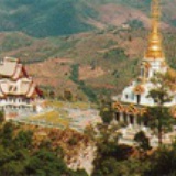 ชา