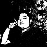 七飞羽