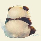 美赞