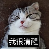 喵吼