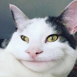 骨头要清淡平和