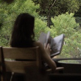 绿藻浮游