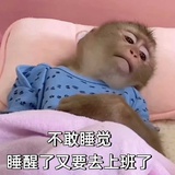 苏西杨