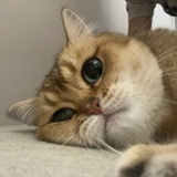 llluohuaaai
