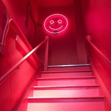 趙貓貓
