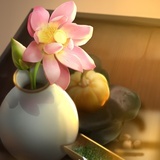 从心开始