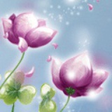 花开花谢