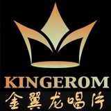 金翼龙唱片公司