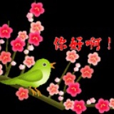 SHUZISHOP