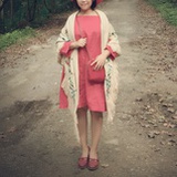 飞FEI