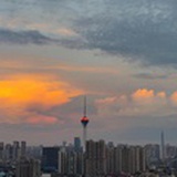 树上的鱼