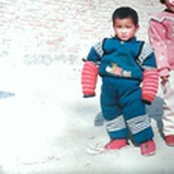 陌上尘