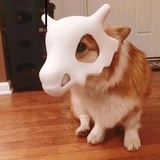 知道不知道