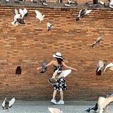 辰糖糖