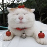 小食谈记