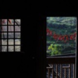 湘西大胡子