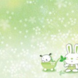 蔓蔓卿罗