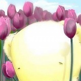 香草菌