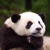 玉人歌
