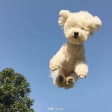 番番喝茶