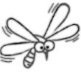 蚊虫