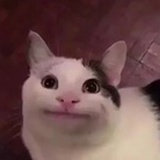 jeff_ppp