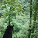 小傻